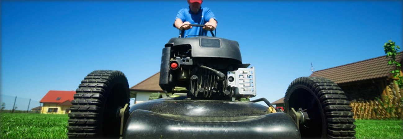 Außenanlagen und Pflege